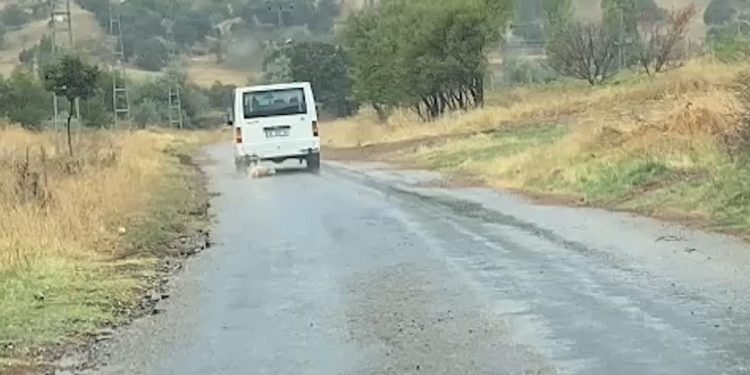 Kırıkkale’de cani şoför aracının ardına bağladığı köpeği sürükledi